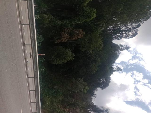  em  - 
