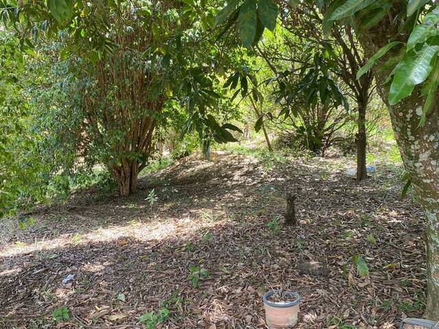 #34 - Chácara para Venda em Mairinque - SP - 3